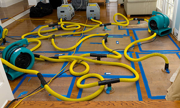 Professional Basement Flood Cleanup technician working in Dedham, MA